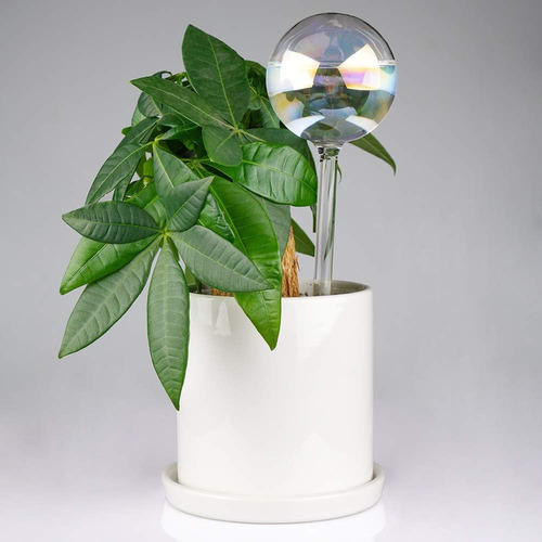 Ukipos Set De 2 Regadera Para Plantas Automática De Vidrio Color Transparente