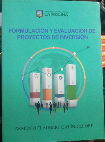 Formulacion Y Evaluacion De Proyectos De Inversion  Galindez