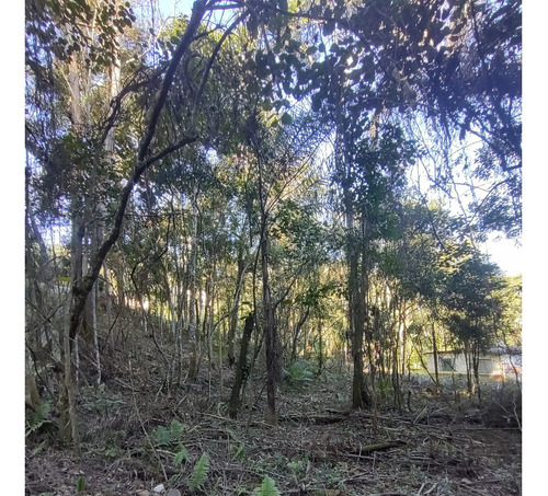 Terreno Perfeito Para Área De Lazer