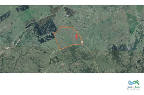 Imagen 2 de 5 de Excelente Campo Ganadero, Apto Para Olivos-vid-eucaliptus O Recreo, Sobre Ruta 12. - Pueblo Eden