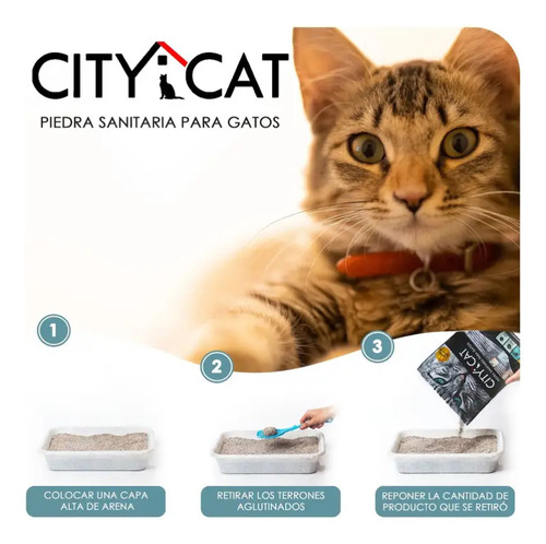 Citycat Arena Aglutinante Lavanda 12kg
