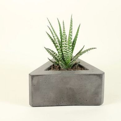 Maceta Triangular Cemento Minimalista