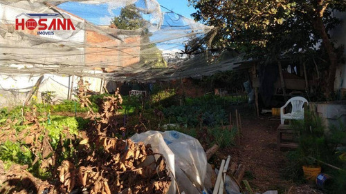 Imagem 6 de 6 de Lindo Terreno Em Laranjeiras - Te0434