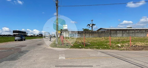 Imagem 11 de 16 de Terreno A Venda No Bairro Borda Do Campo Em São José Dos - 30084-1