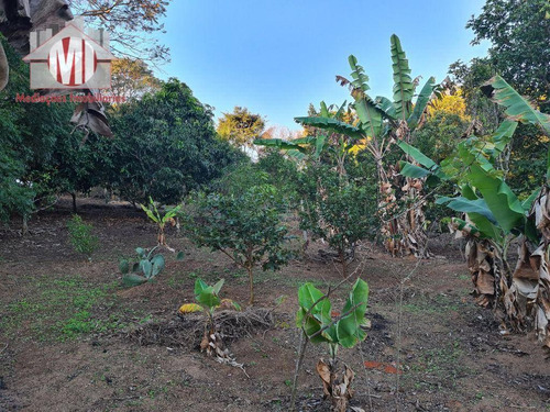 Imagem 18 de 30 de Ótima Chácara Com 4 Dormitórios, Edícula, Salão De Jogos, Pomar, Horta, Bem Localizada, À Venda, 5000 M² Por R$ 630.000 - Zona Rural - Pinhalzinho/sp - Ch0984