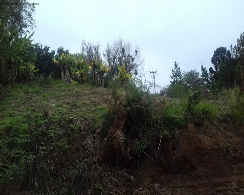 Imagem 2 de 18 de Sitio À Venda No Monjolada - Guiapiara/sp - St00246 - 68125721