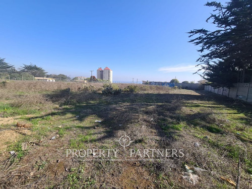 Algarrobo, Lote De 6 Sitios, Ideal Para Construcci...