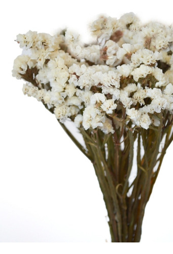 Ramo Flores Secas Estatis Blanco White