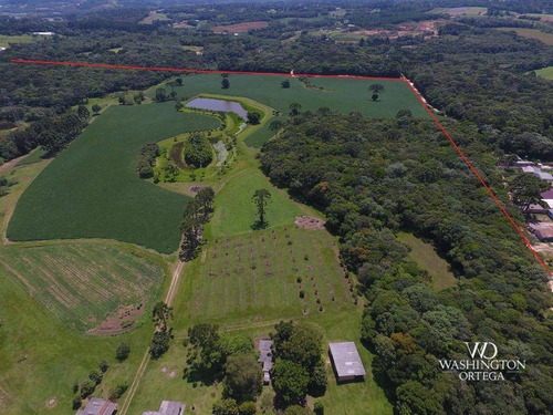 Imagem 4 de 30 de Chácara À Venda, 230302 M² Por R$ 10.900.000,00 - Cachoeira - São José Dos Pinhais/pr - Ch0084