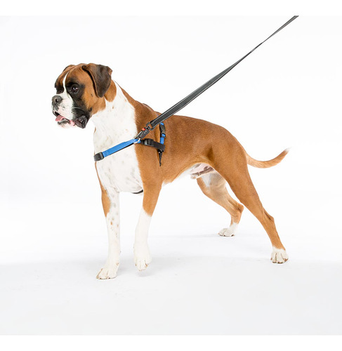 Peitoral Coach Reforçado Para Cachorros - G/gg - Ferplast
