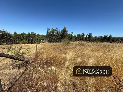 Parcela En Venta En San Nicolás   Chillán