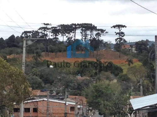 Imagem 6 de 6 de Área 2.740m² (zis) Próx. Ao Centro De Cotia (km 32 Rap. Tavares) - 716