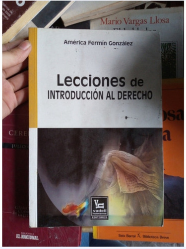  Lecciones De Introducción Al Derecho, América Fermin 