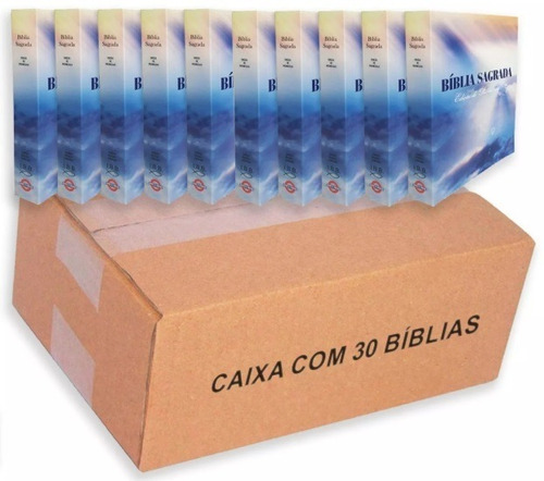 Bíblia Sagrada Barata Para Evangelizar Caixa 30 Unidades Rc 