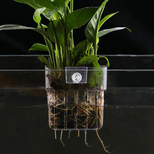 Soporte Para Plantas De Acuario Para Tanque Maceta Para Pece