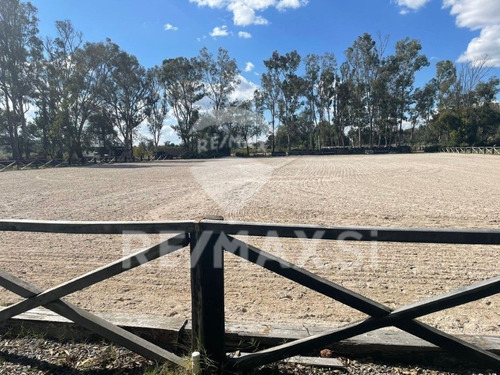 Terreno Venta San Miguel De Allende