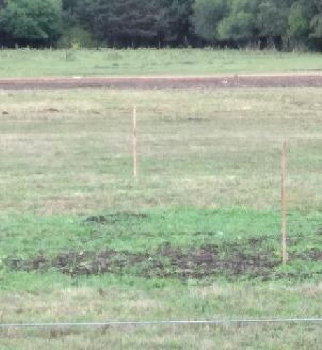 Terreno En Venta - 900mts2 - Abasto, La Plata