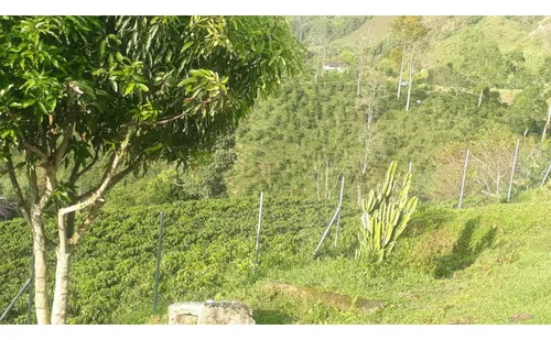 Oportunidad De Inversion Fabrica Y Finca De Café