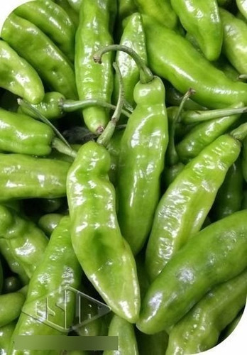 Pimenta De Cheiro Acemira - 2gr De Sementes Para Plantio