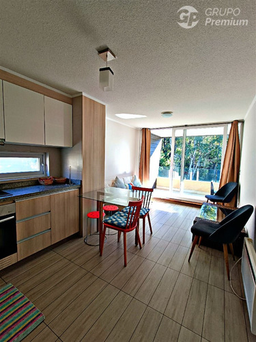Departamento En Venta En Pucón