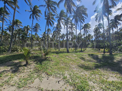 Terreno En Golfo De México, Playa Sol R/a Las Flores, Paraíso Tabasco