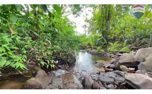 Imagen 2 de 13 de Finca En Venta San Juaquin De Navay