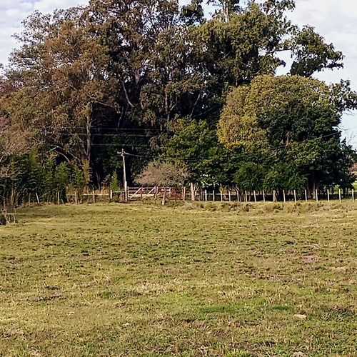 Imagen 16 de 16 de Venta Chacra De 7 Ha. En Zona De Gran Potencial