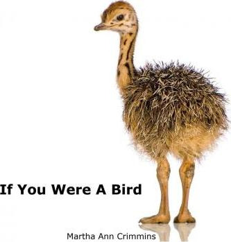 Libro If You Were A Bird - Martha Ann Crimmins