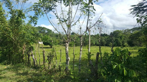 Venta Terrero En  Batey Palamara, Pedro Brand, 12,319.metros