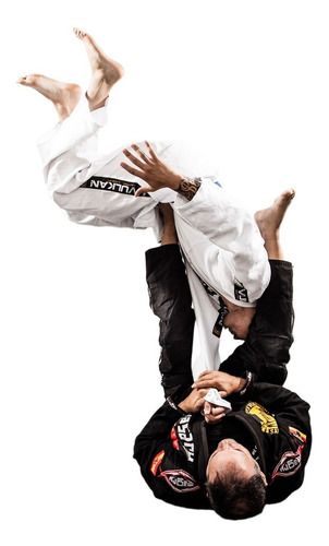 Instrucionais Jiu-jitsu On Lachlan