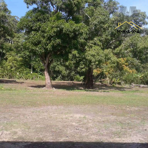 Parcela En Venta Vía Chuspa La Guaira Con Bienhechurias Y Siembra