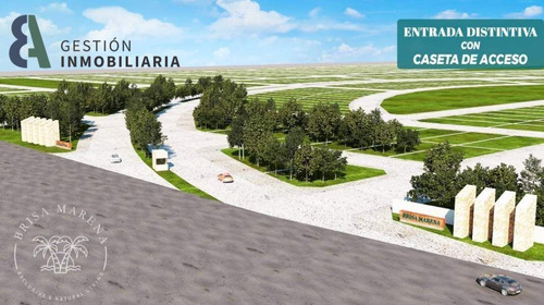 Imagen 5 de 17 de Desarrollo Brisa Marena Terrenos De Inversión Dzidzantún, Yu