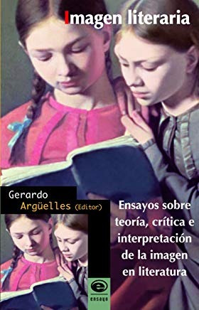 Libro Imagen Literaria Ensayos Sobre Teoria Critica E I *cjs