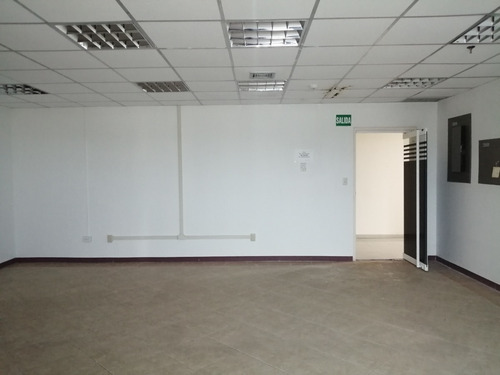 Imagen 8 de 9 de Locales En Alquiler En La Torre Bvc, Lechería