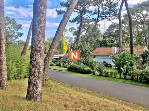 Imagen 9 de 12 de Venta De Terreno En Cantegril Punta Del Este - Punta Del Este Cantegril