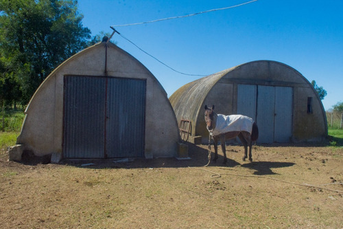 Vendo Campo De 242 Hectas En Proximidades A Ciudad De Libertad