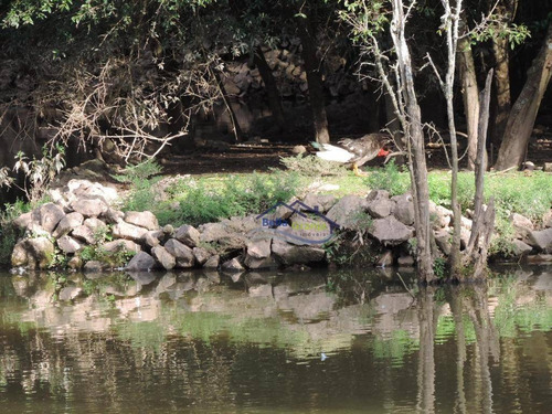 Imagem 6 de 29 de Granja Viana - São Paulo Ii - Te0152