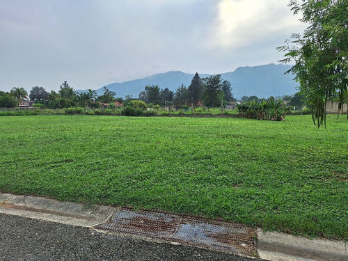 Se Vende Terreno En La Cumaca, San Diego, Jct-499
