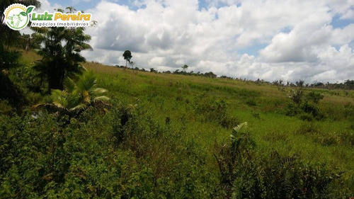 Imagem 4 de 15 de Fazenda Em Breu Branco - Pa - 2.584,56 Hectares (dupla Aptidão) - 2158