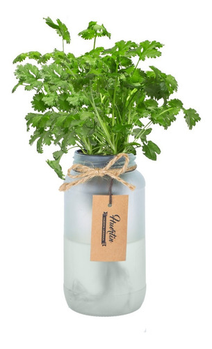 Huerta Con Riego Automático - Huertin