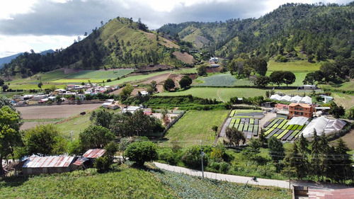 Hermoso Terreno En Constanza 650 Tareas, Agrícolas, Turistico