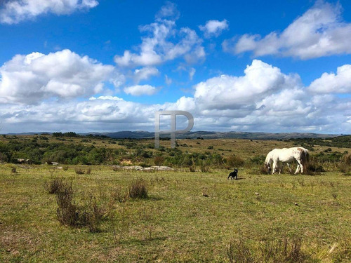 Imagen 6 de 12 de Campo En Venta Las Cañas 77 Hectáreas
