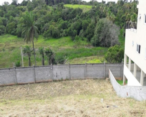 Imagem 6 de 17 de Terreno - Cv85a01 - 32014707
