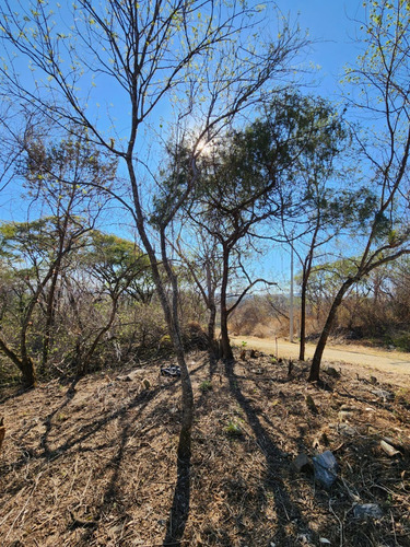 Venta Lote Iris I Muy Plano Y De Bonita Vista Además De Doble Frente En Doble Calle Con Proyecto Incluído En Fracc Rancho San Diego Ixtapan De La Sal Edomex