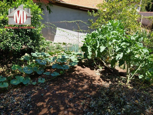 Imagem 23 de 24 de Excelente Chácara Com 03 Dormitórios, Edícula, Piscina, Pomar, À Venda, 380 M² Por R$ 235.000 - Rural - Socorro/sp - Ch0811