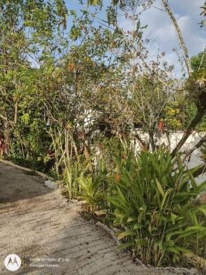 Casa Com Quintal E Suíte Em Itanhaém Litoral Sul - 7774 Npc