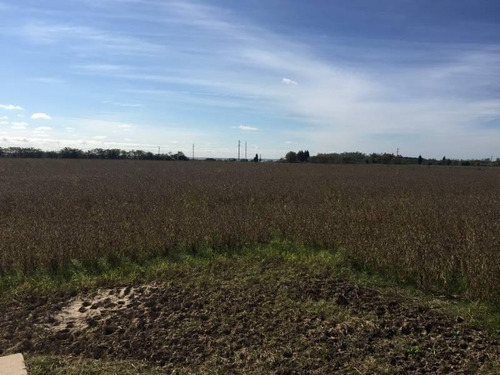Imagen 7 de 8 de Terreno Lote En Venta En Zárate, G.b.a. Zona Norte