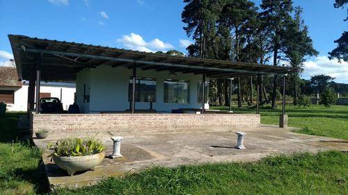Campo En Venta Provincia De Buenos Aires Ruta 226