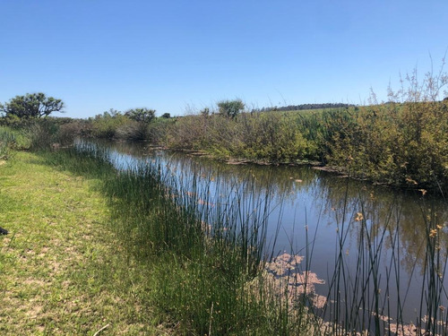 Imagen 4 de 4 de Campo - José Ignacio