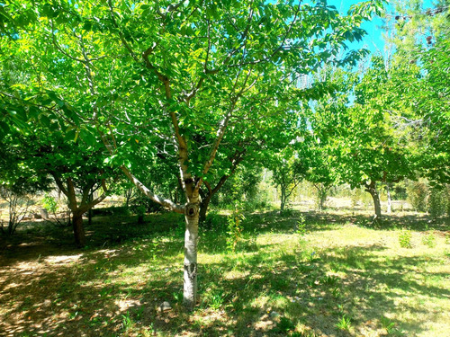Casa En Venta - 2 Dormitorios 1 Baño - 4.500mts2 - Luján De Cuyo